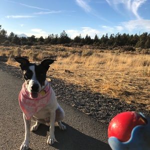 Meet your Posher, Cody